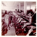 Factory workers
